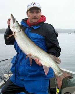 Mike Kopp's muskie caught short line trolling - 3ft off the tip of the rod